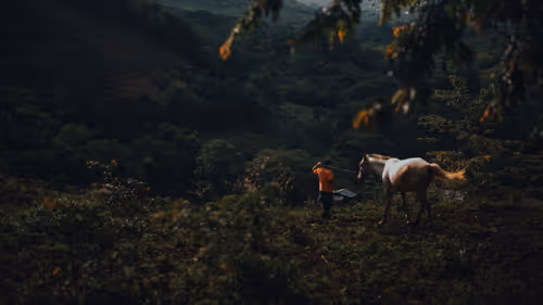 Item #38640678418960091879167073134620808059318826379912893500964934317362947031041 Media