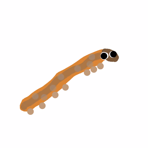 Armyworm