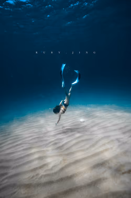 Item #75775185799272849085271004632709043340311400921657001030137476925941977448449 Media