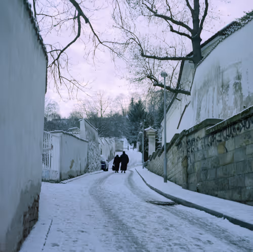 Item #30121090533068634730460792685537461567950127940617948076373458093664054018049 Media