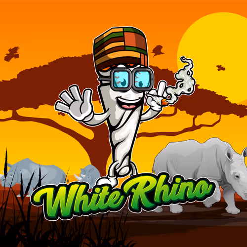 27239952631208204475550635203214834624309968041134471540447875588612474011649