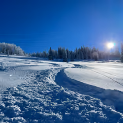 Powder turns #5