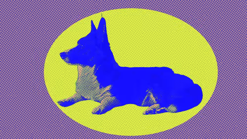 Item #5064369323868941142529800422530870608449267944386714411348494307688104067073 Media