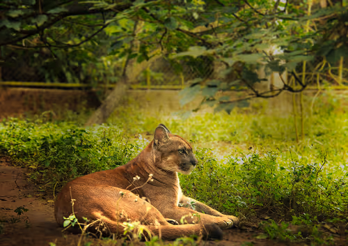 Item #52866533446256947539128955257179026022182065840337043931720506853407644975105 Media