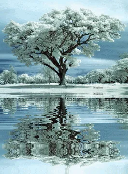 Item #82910634968234971591690507859221112527609080074676685527709326085501438918657 Media