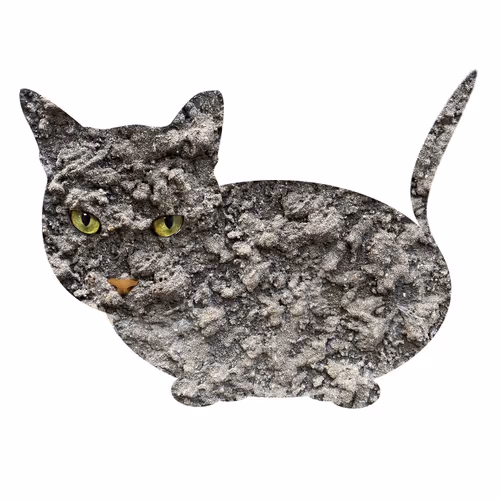 Item #7075100801842414929541159204983769780243264764604993181312715068614243254273 Media