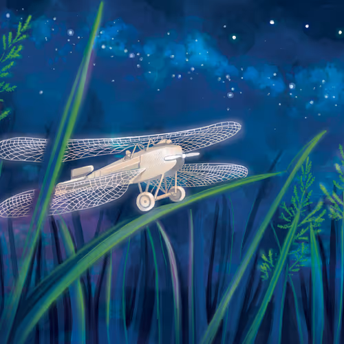 Meta-Dream of the Dragonfly Plane - Kiev, Ukraine artist