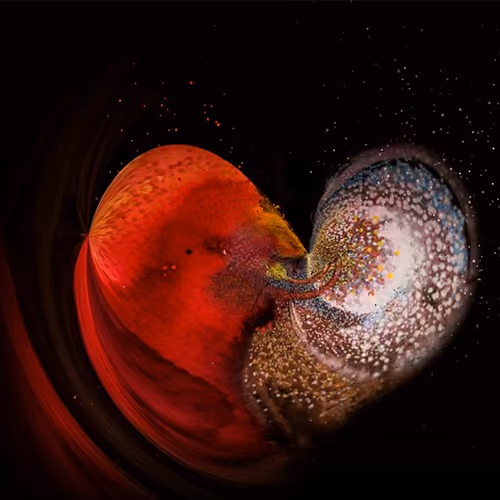 Embryonic Kiss