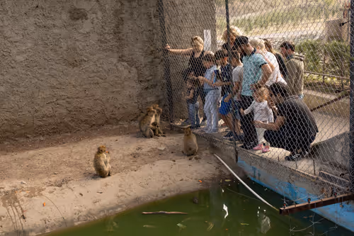 Item #8293050977498067439738640211663030445621008093446820664285481083375947087873 Media