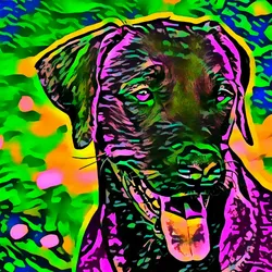 50830097462543580601473563981388698009005024090223633461481089558953972465665