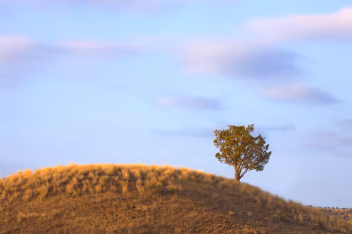 Item #47733538281398589330218628684825824381891858980071157568895890228191197921281 Media