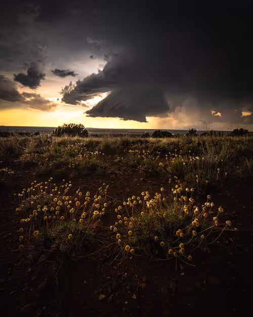 Item #36388733735061083786475834014155955711748965200924391160511104836232342929409 Media