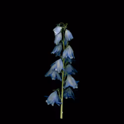 58883327943218482885511625451962166109229848641575055586606686570748206645249