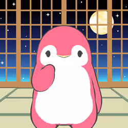 25395533783521501190050596055304925967667458809817550968724066918993129111553