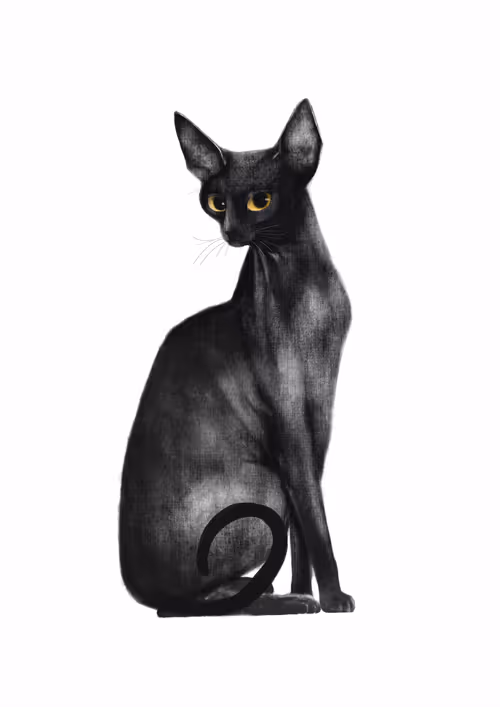 Item #82695799108276642583323751934613913274690371258081772662869305535493759303685 Media