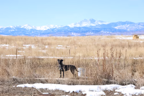 Item #19684374529110288056520570276703370007863893692966726326193838010741278375937 Media