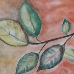 Autumn Leaf