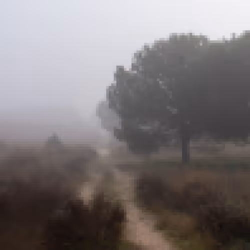 11780915356901891937150191052604117223978980698243640119023280881671029653505