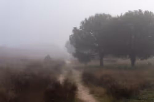 Item #11780915356901891937150191052604117223978980698243640119023280881671029653505 Media