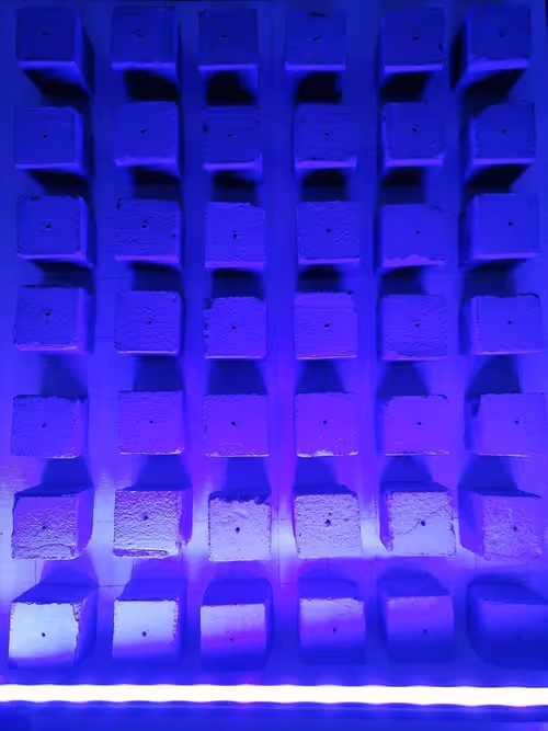 Item #53323516583965133584391269845246755532098013189526444759390359910617672843265 Media