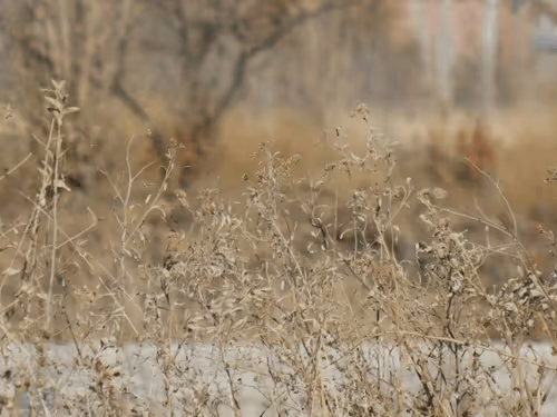 Untitled Collection #72644988