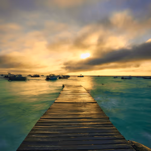 Golden Ocean