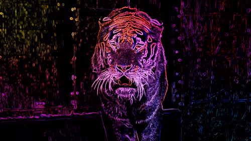 Item #44700177556079130579027571864789921161109844202338692374214745870062848049172 Media