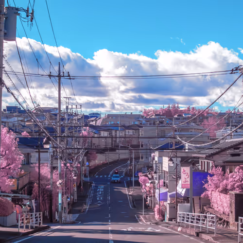 51038767389134457626930617169090287934471579480777975785156342576607383257089