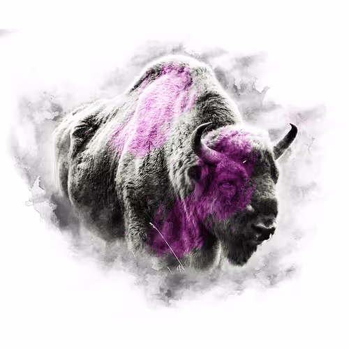 PINK SERIES - BISON