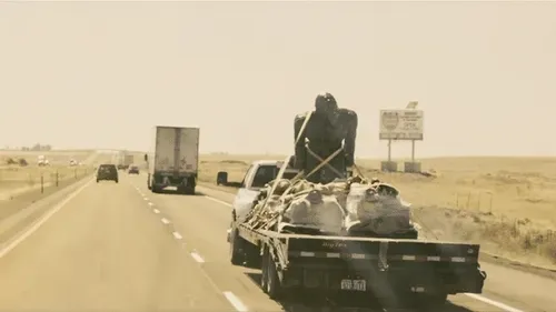 MadTrees Collection - old