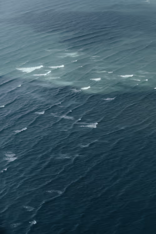 Item #78064220502355505726869985793984720926867023015257308531581829149406366007297 Media