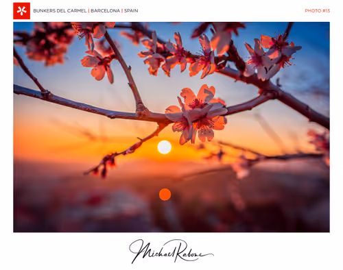 Item #29314157866463614573355053931398882925484977285626546525081320724151100506113 Media