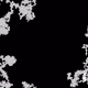 46443140435526123263349023868976142915031731050544552291035459357220844601345