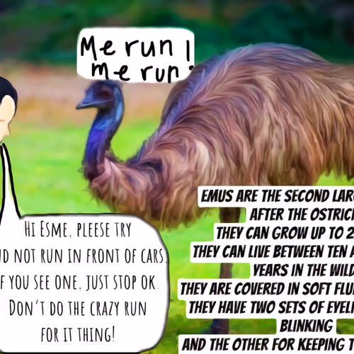 The Nancy Noobie Aussie Animal Series - Emu