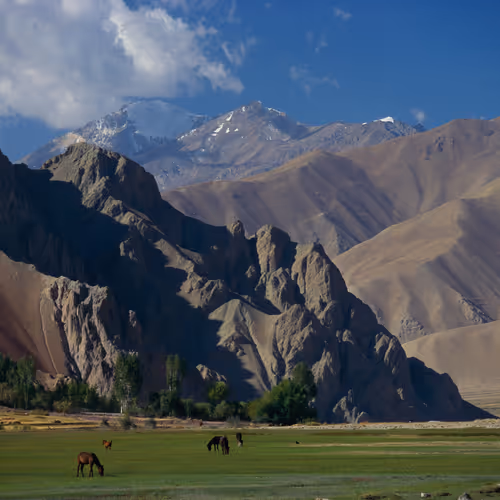 Mike Yamashita - Horses Graze in the Wakhan Corridor