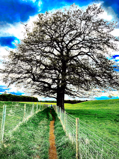 Item #3545434364027388159524564873243937151540135402704887169129841893456409001985 Media