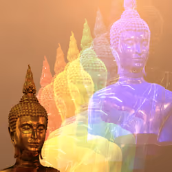 color of peace