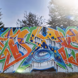 up North 1/1 (Desoler) Spraypaint Graffiti