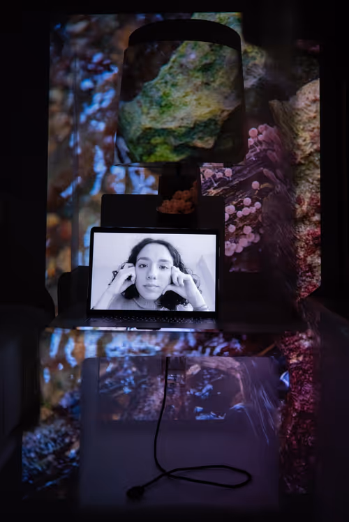 Item #109162157552346088047496633038404394118504199992061596446112929664503803543553 Media