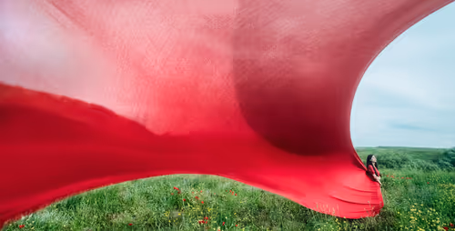 Item #78738558394879565749295301770975625214035895041037527328958806099838038441985 Media