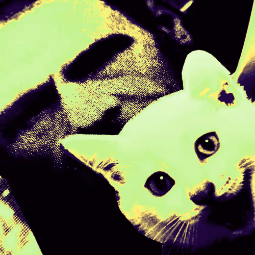 4747115153065902387790593868107453782499677024781155622119190041178962657281