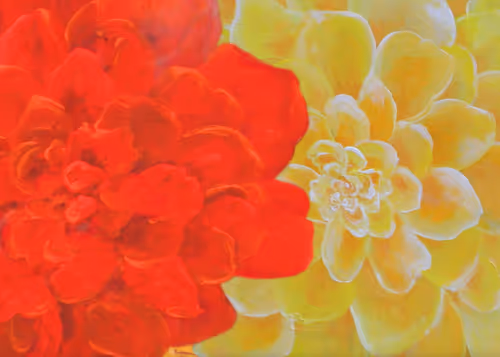 Item #62751544801377640273200040099793700775211389777138542446659914092186173440001 Media