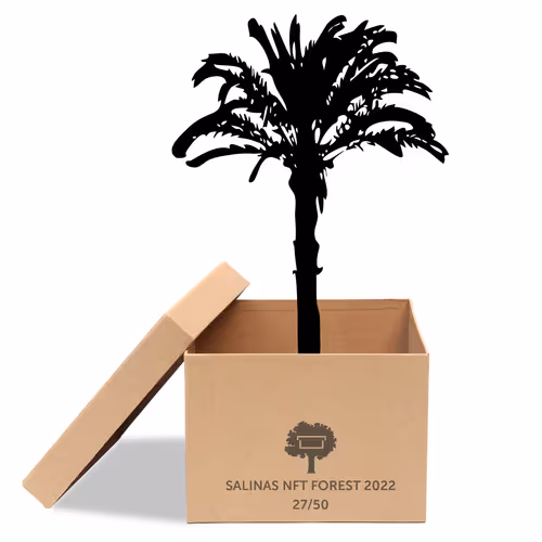 Item #63532776318757439562276927313719991273687356279339277108967620982720931299329 Media