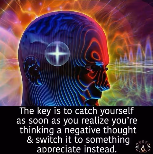 Item #107316880139886165764783739584478385264669758930307595352306352485216724975617 Media