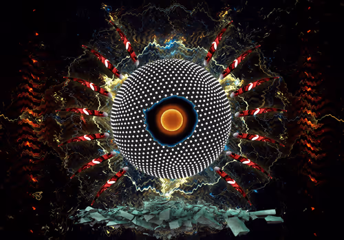 Item #23997229257906207336046149608074474620013175134940009897756278721673246539777 Media