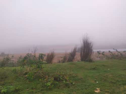 Item #105921704509129114325223516753323200179066533034089813004172482310467542319105 Media