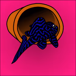 81664083123670143983968740139941474364733981378414170565535210132650367909889