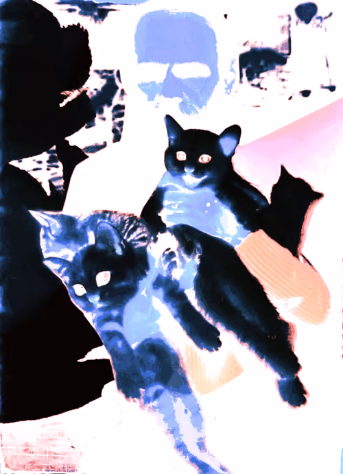 Item #4747115153065902387790593868107453782499677024781155622119190366634404478977 Media