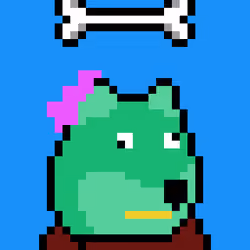 Kevin Dooggie #4