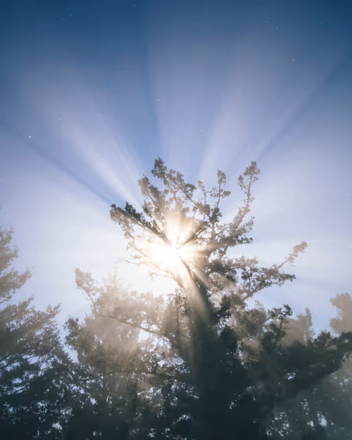 Item #99379921276153973634104125152908526548510783699959858376338453579902151032833 Media